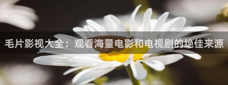 jdav麻豆高清：毛片影视大全：观看海量电影和电视剧的绝佳来源