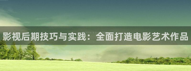 电影a三区四区麻豆：影视后期技巧与实践：全面打造电影艺术作品