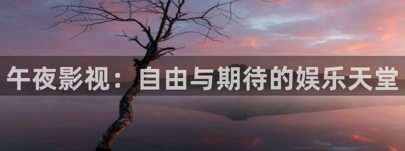 国产精品麻豆电影免费看：午夜影视：自由与期待的娱乐天堂