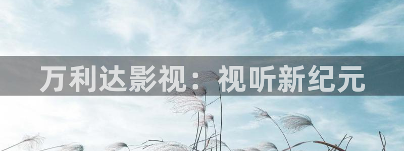 麻豆三级影院：万利达影视：视听新纪元