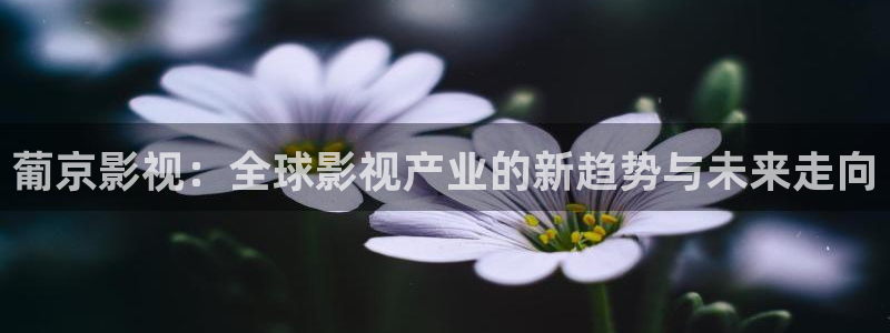 视频在线观看麻豆：葡京影视：全球影视产业的新趋势与未来走向