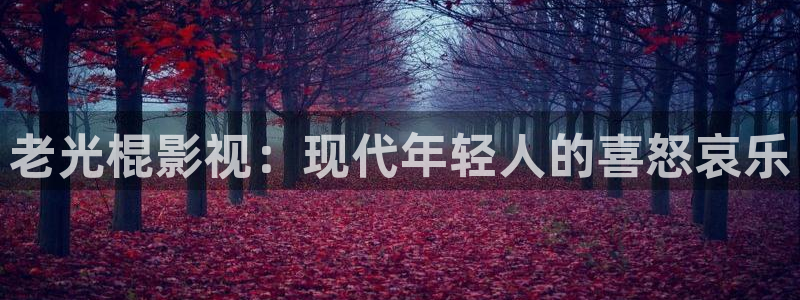 麻豆成人免费电影：老光棍影视：现代年轻人的喜怒哀乐