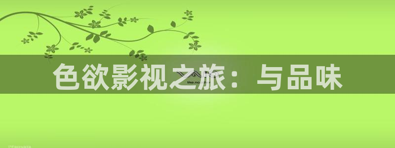 电影 麻豆：色欲影视之旅：与品味