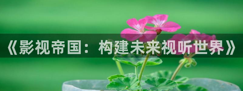 超碰av麻豆：《影视帝国：构建未来视听世界》